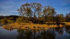 Landscapes nature belarus