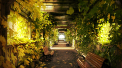 Landscapes nature bench