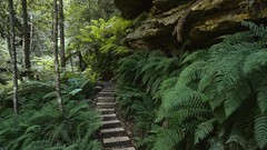 Landscapes nature blue Mountains Australia national park new 