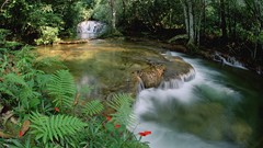 Landscapes nature Brazil Mato Grosso
