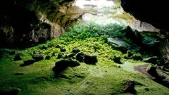 Landscapes nature caves grass