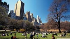 Landscapes nature Central Park