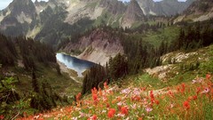 Landscapes nature cliffs Range lakes Mount Rainier