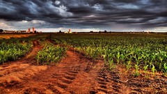 Landscapes nature clouds dirt fields overcast cornfield HDR 