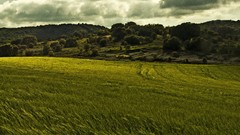 Landscapes nature clouds fields paisaje