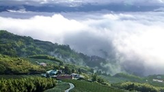 Landscapes nature clouds hills tea Taiwan roads plantation 