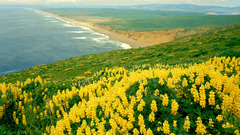 Landscapes nature coast California