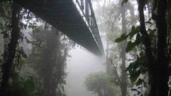 Landscapes nature costa rica Santa Elena