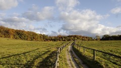 Landscapes nature country meadows distance protection Wood 