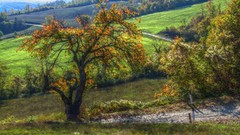 Landscapes nature country road
