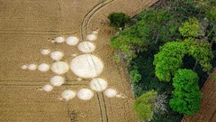 Landscapes nature Crop Circles