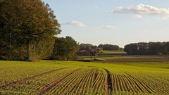 Landscapes nature crops