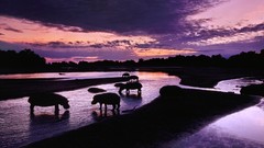 Landscapes nature dawn Flipped duplicate Zambia