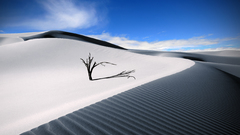 Landscapes nature deserts Dune