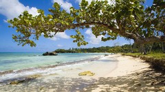 Landscapes nature dominican republic