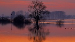 Landscapes nature dusk holland region flooded The Netherlands