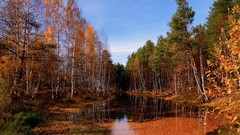 Landscapes nature Earth viewscape