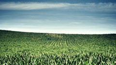 Landscapes nature Earth viewscape