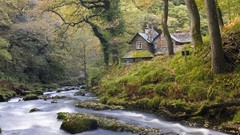 Landscapes nature England Devon national park