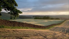Landscapes nature England United Kingdom Rural fields