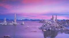 Landscapes nature evening California grove south lakes Mono Lake