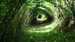 Landscapes nature eyes