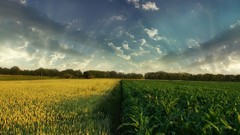 Landscapes nature fields HDR