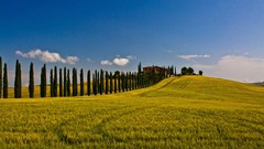 Landscapes nature fields Italy
