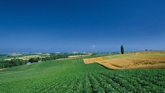 Landscapes nature fields skyscapes farmland