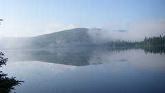 Landscapes nature fog