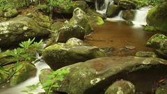 Landscapes nature forks great smoky mountains