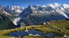 Landscapes nature grass Animals water Mountains white Green 