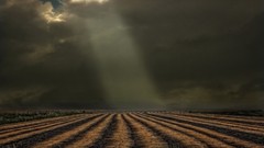 Landscapes nature grass clouds dark white tales fields golden 
