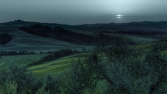 Landscapes nature grass grim