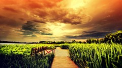 Landscapes nature grass Plants Rural fields boardwalk pictorial
