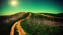 Landscapes nature grass sun scape