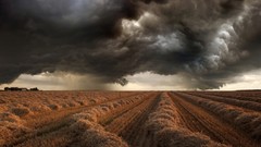 Landscapes nature gray black white storm weather brown fields 