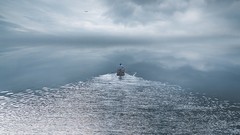 Landscapes nature gray water clouds track Birds Boats lakes 