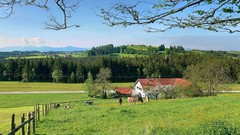 Landscapes nature houses huts