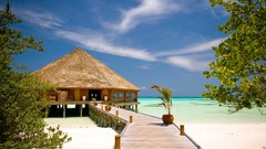 Landscapes nature hut Beaches wooden bridge