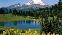 Landscapes nature lakes national park Mount Rainier scenic 