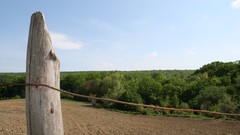 Landscapes nature landing