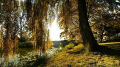 Landscapes nature landmark