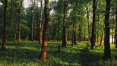 Landscapes nature landmark