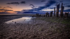 Landscapes nature low tide