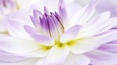 Landscapes nature melody