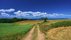 Landscapes nature Międzylesie Blue Trail