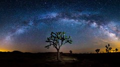 Landscapes nature Milky Way California Joshua Tree national 