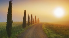 Landscapes nature morning Italy mist Tuscany
