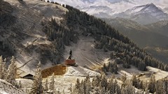 Landscapes nature Mountains forests snowy trees